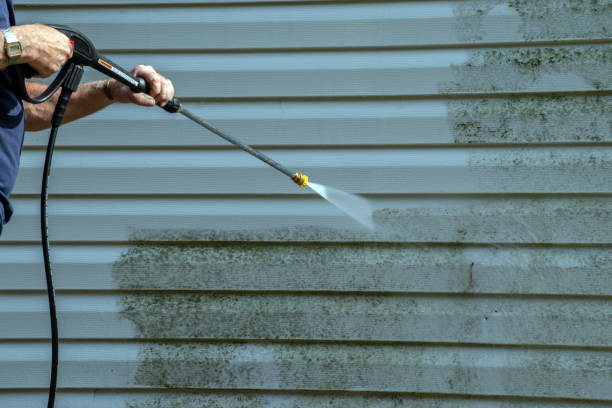 Best Driveway Pressure Washing  in Bonifay, FL